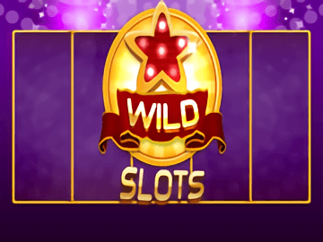 Wild Slots